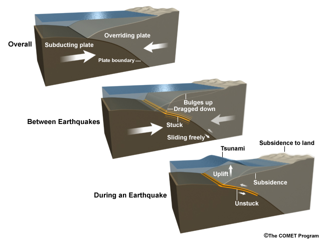 how tsunamis form