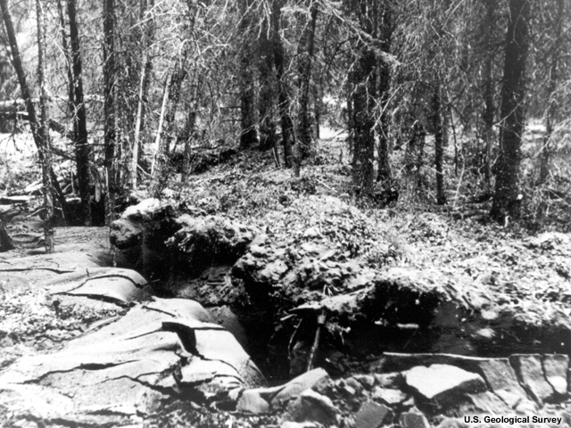 Alaska Earthquake March 27, 1964. Large ground crack with vertical displacement on the Kenai Lowland. Thick deposits of sand border the left side of the crack. Photo by H.L. Foster, 1964.