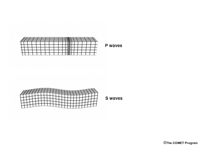 P, S, and Surface seismic waves.