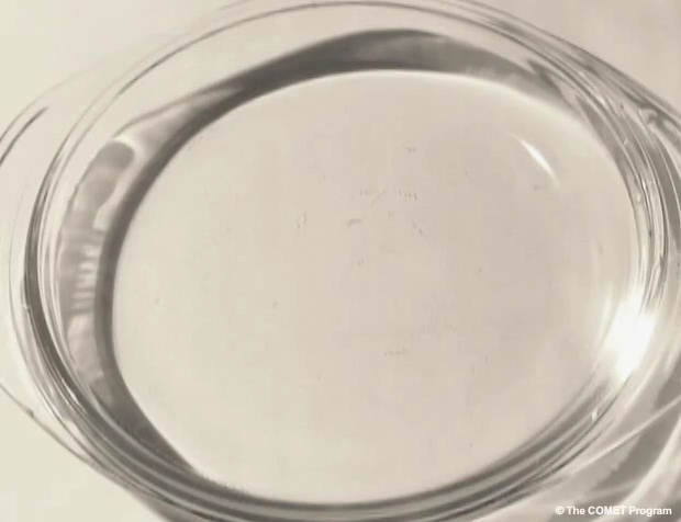 Ripples move away from a drop of water dropped in water and then converging back on the center.