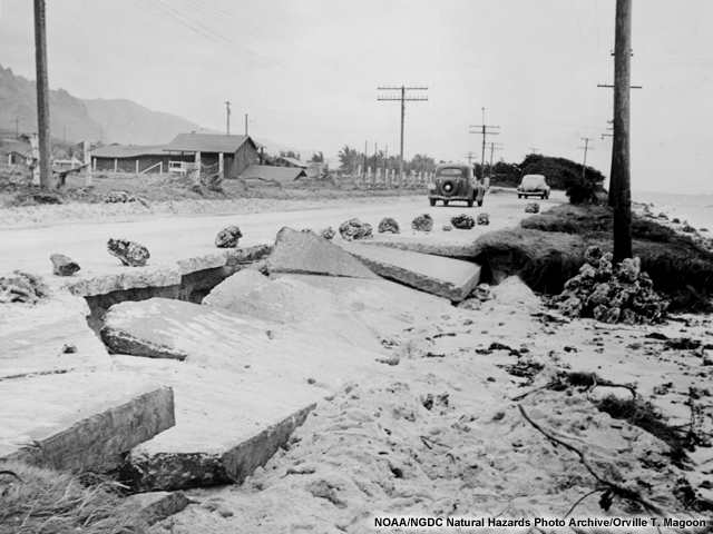 Damage to concrete paving, Kaaawa Territorial Highway, Hawaii, after the 1946 Alaska tsunami. The sand under the road has been scoured out, causing the road to collapse.