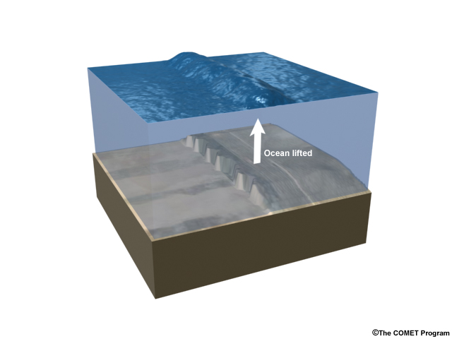 The mechanism of tsunami initiation.