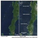 Indian Ocean Tsunami Damage around the perimeter of the Andaman 
Islands.