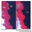 Exposure of 
the reef around Ranongga Island in the Solomon Islands after a 2007 
earthquake lifted the land.