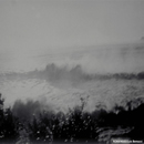 Sea
 level recession and tsunami inundation during the 1960 Chilean tsunami.
 The inundating wave is about 8 m high.